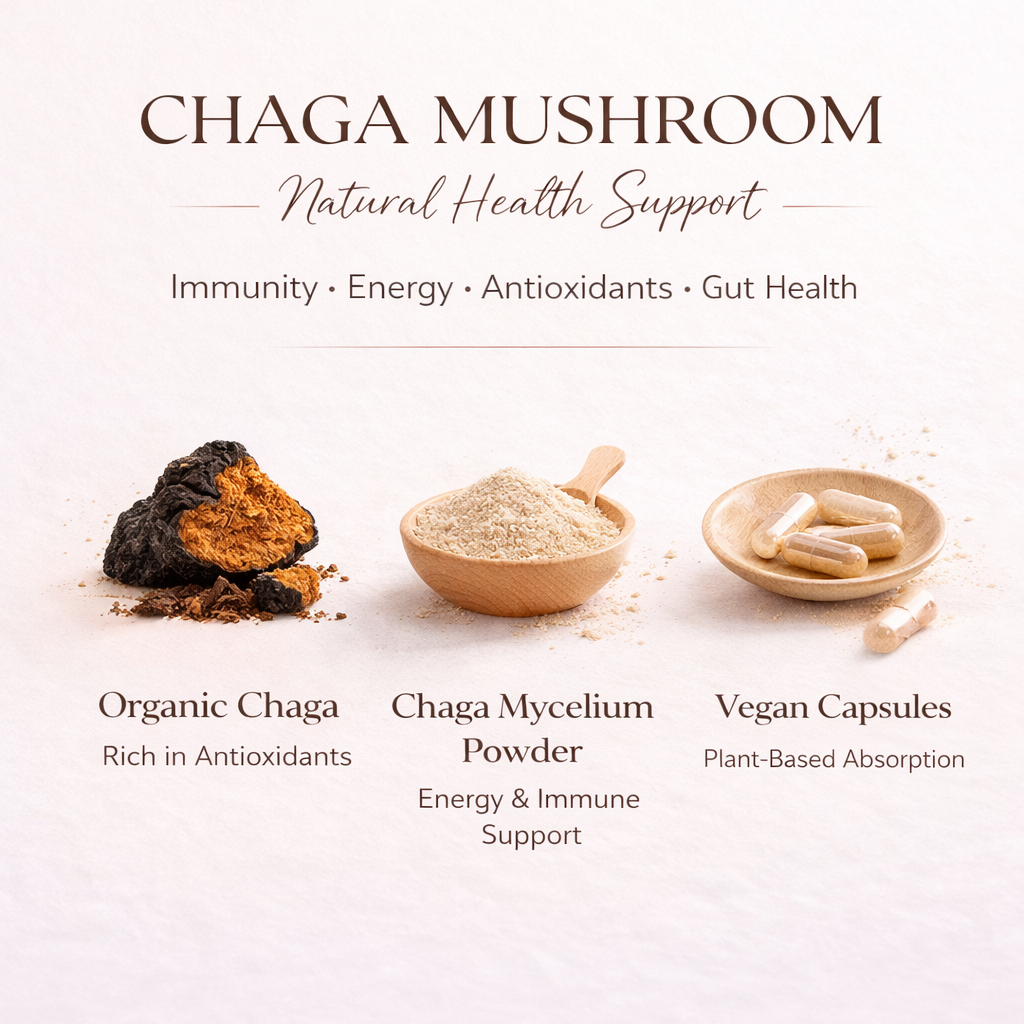 Chaga Mushroom